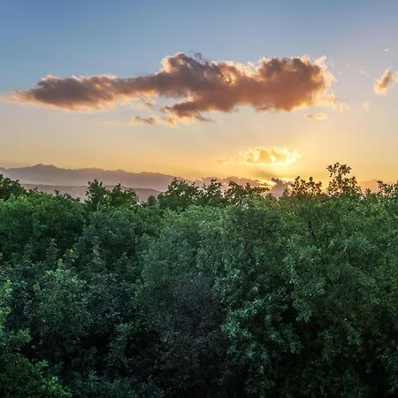 Sunset Bliss In Village Apartment